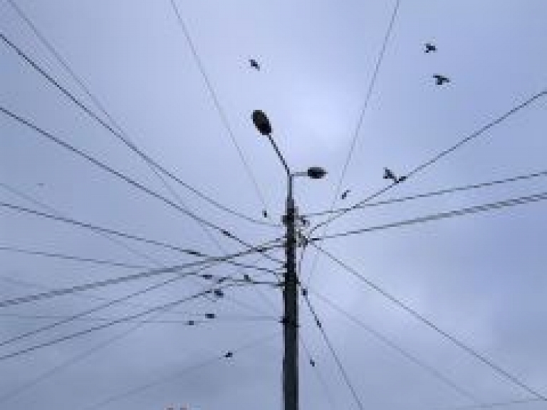 Jelgavas dome meklē konsultantu elektroenerģijas brīvā tirgus apstākļiem