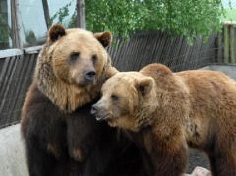 Rīgas Zoo norisināsies dzīvnieku dienas