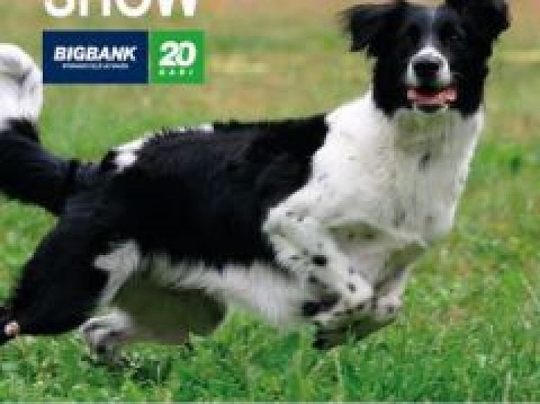 Svētdien norisināsies suņu izstāde "Labās mājas" atbalstam