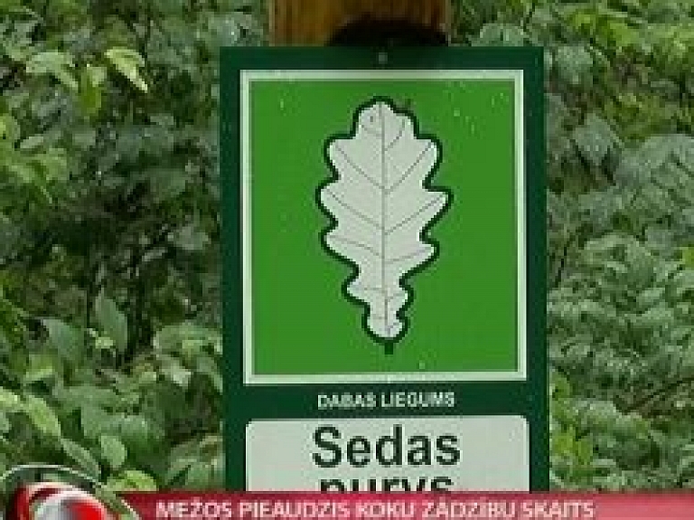 Mežos pieaudzis koku zādzību skaits