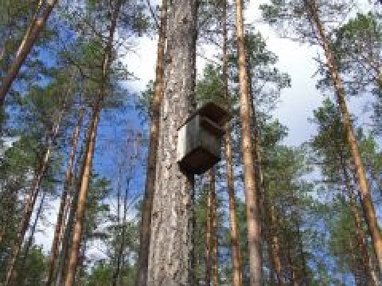 Miķeļdiena Tērvetes dabas parkā