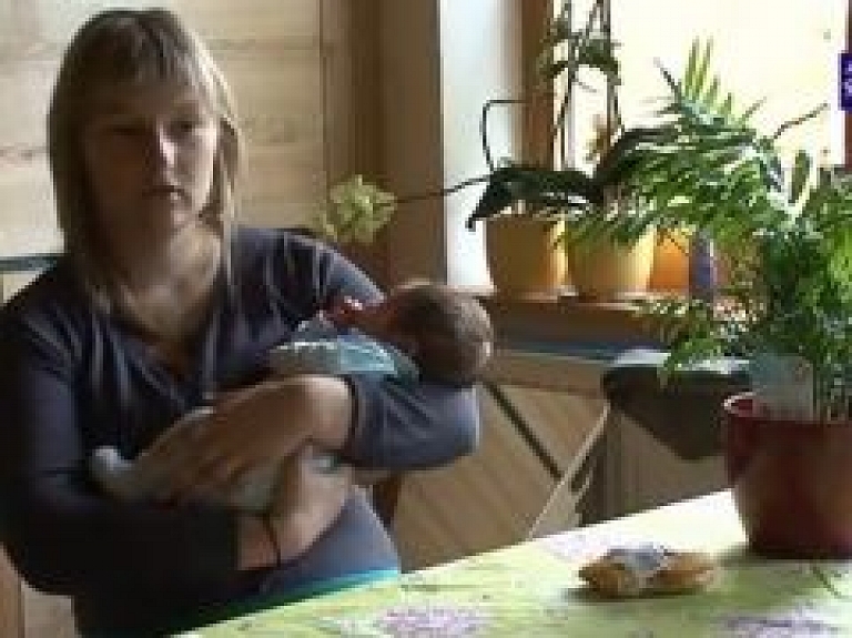 Talsu doktorāta darbinieki un apmeklētāji saņem soda kvītis (video)