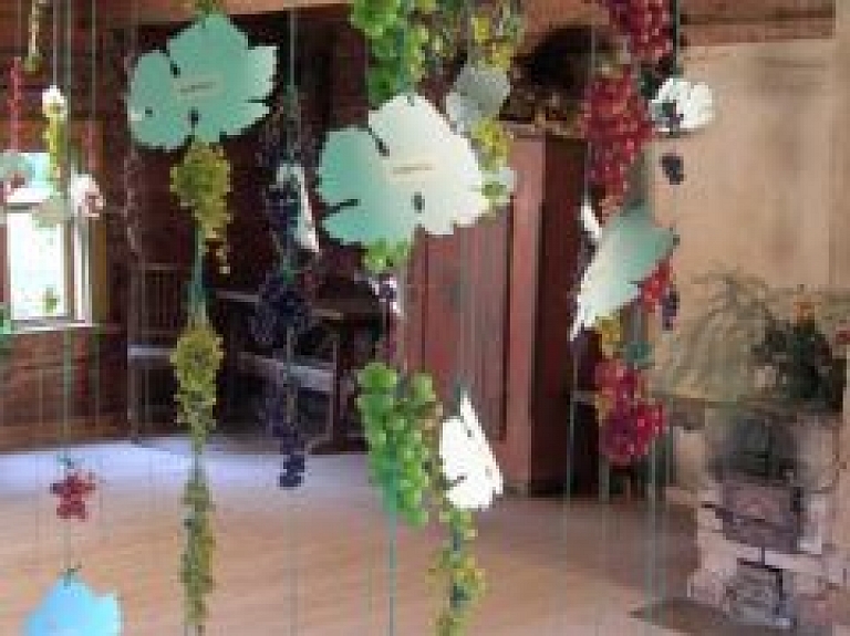 "Sēļu sētā" vīnogu izstāde