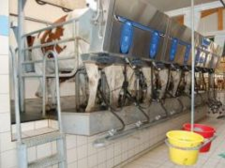 Veiktas izmaiņas Mālpils piensaimnieka valdē