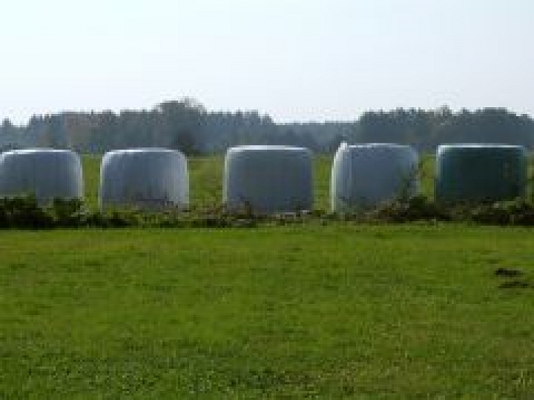 Ministriju atašeji apmeklēs Kurzemes reģiona saimniecības