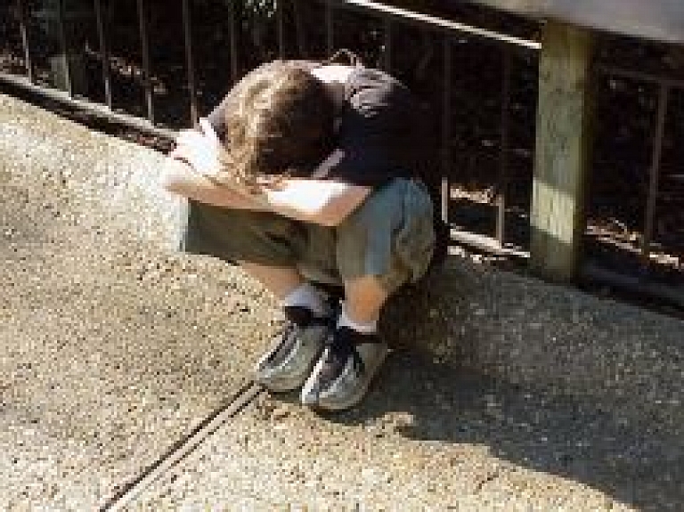 Lauberes direktore nenoliedz vardarbību bērnu nama pusaudžu vidū (video) - papildināts