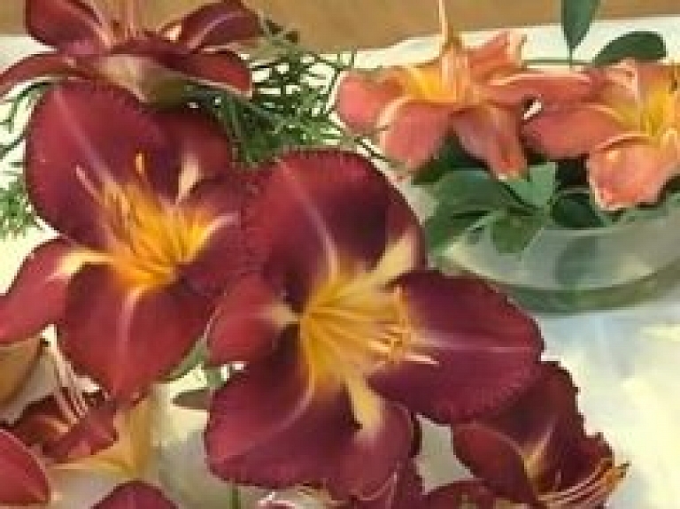 "Mirkļa zieds - dienlilija" Dabas muzejā