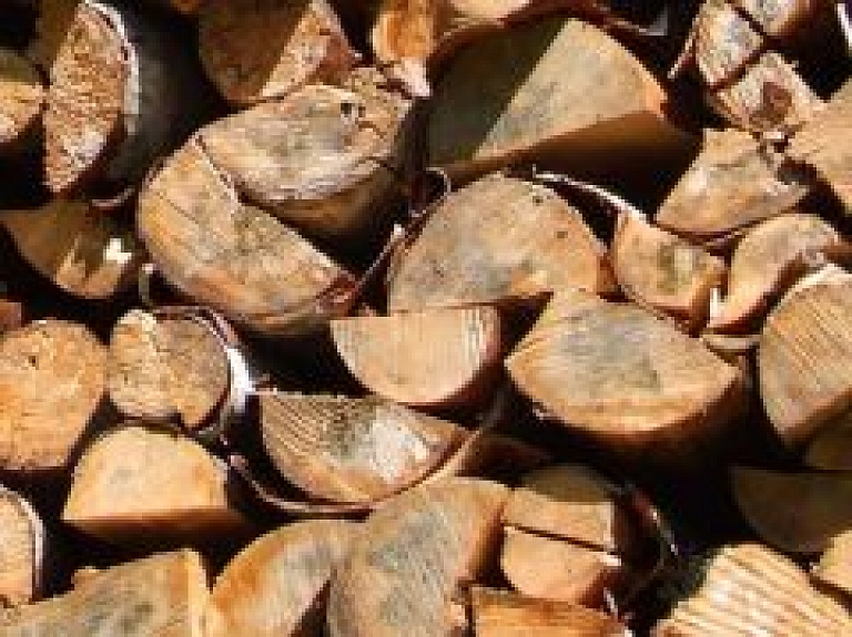 Pārlielupē grib būvēt vērienīgu kokmateriālu pētniecības centru