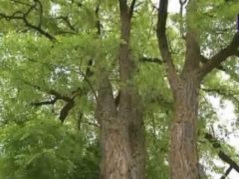 Ziņas Talsu novadam (video)