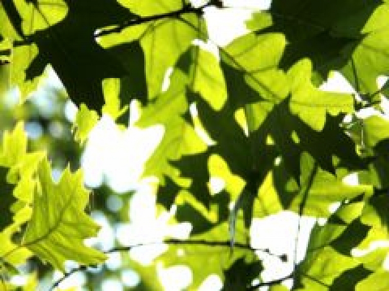 Sutru pagastā ielīgos "Mazos Jāņus"