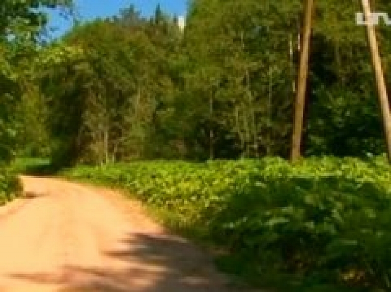 Priekuļu novadā cīnās ar latvāņu izplatību (video)