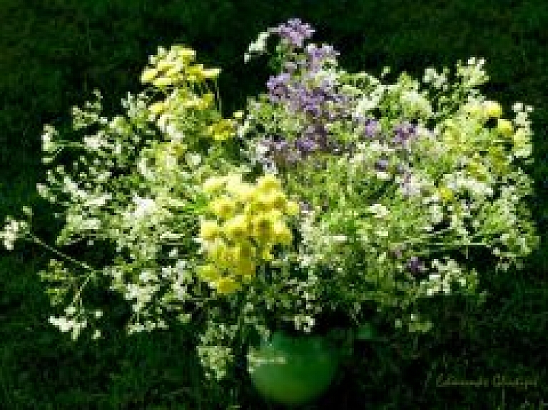 Jelgavas Zinātniskajā bibliotēkā Edmunda Glūdiņa fotogrāfiju izstāde