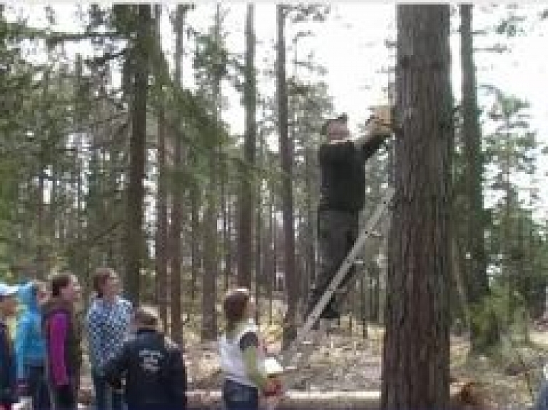 Sūnu pamatskolas skolēni Laukezera dabas parkā liek putnu būrīšus (video)