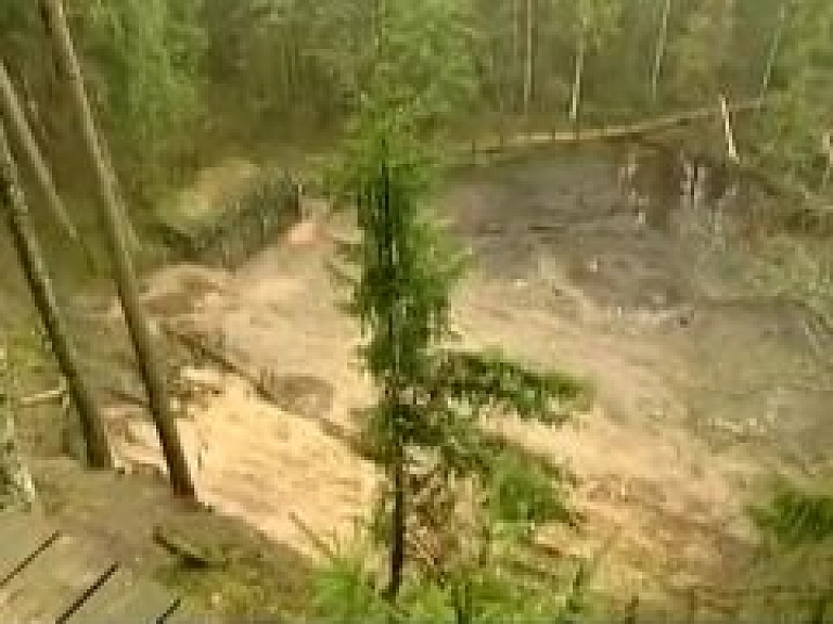 No Līgatnes dabas taku aploka izbēgušo lāci vēl nav izdevies notvert (video)