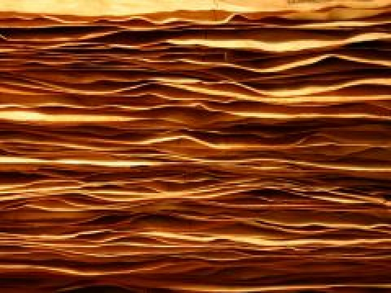 "Jelgavas tipogrāfijas" apgrozījums pērn - 4,14 miljoni latu