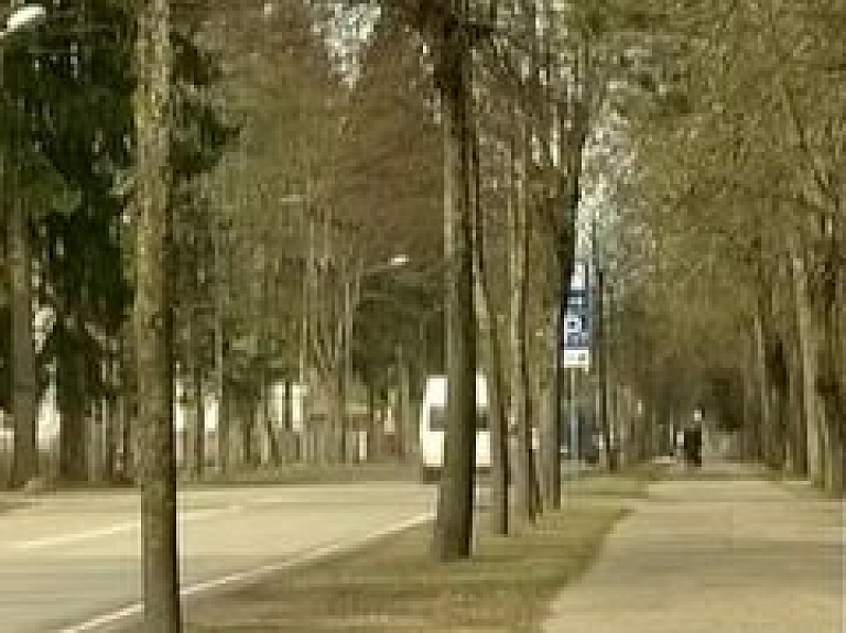 Jūrmalā plāno nocirst vairāk nekā 300 koku (video)
