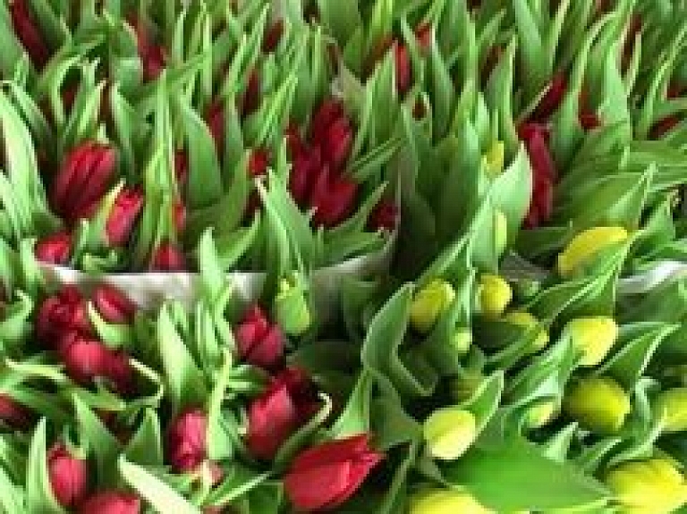 Jēkabpilietes 8.martā gaida ziedus un uzmanības apliecinājumus (video)