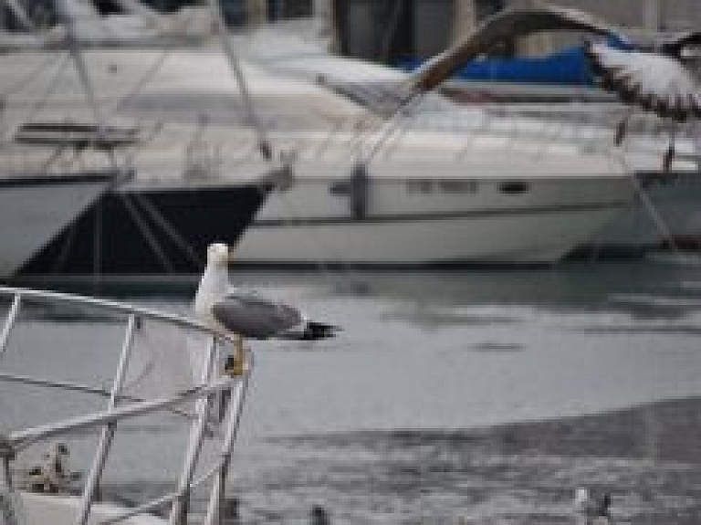 Mērsraga osta plāno jaunus attīstības virzienus