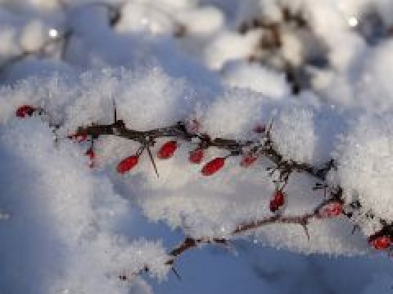 Nākamnedēļ gaisa temperatūra var pazemināties līdz pat -30 grādiem (video)