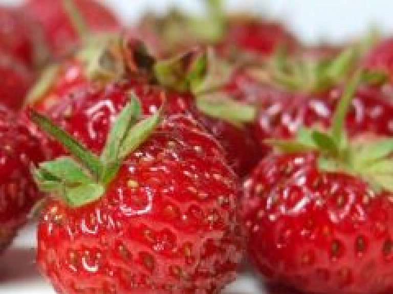 SIA "Aloja Starkelsen" sācis ražot septiņu veidu želejas
