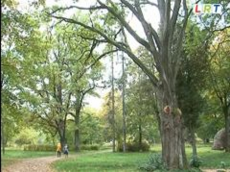 Salnavas parks piedzīvo pārvērtības (video)