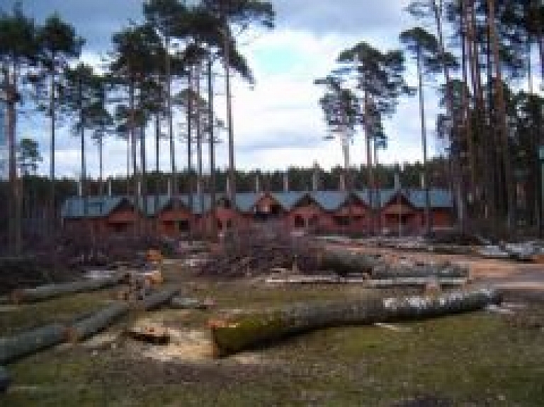 Raidījums: koki Daliņa stadionā nocirsti nelikumīgi (galerija/ video) - papildināts