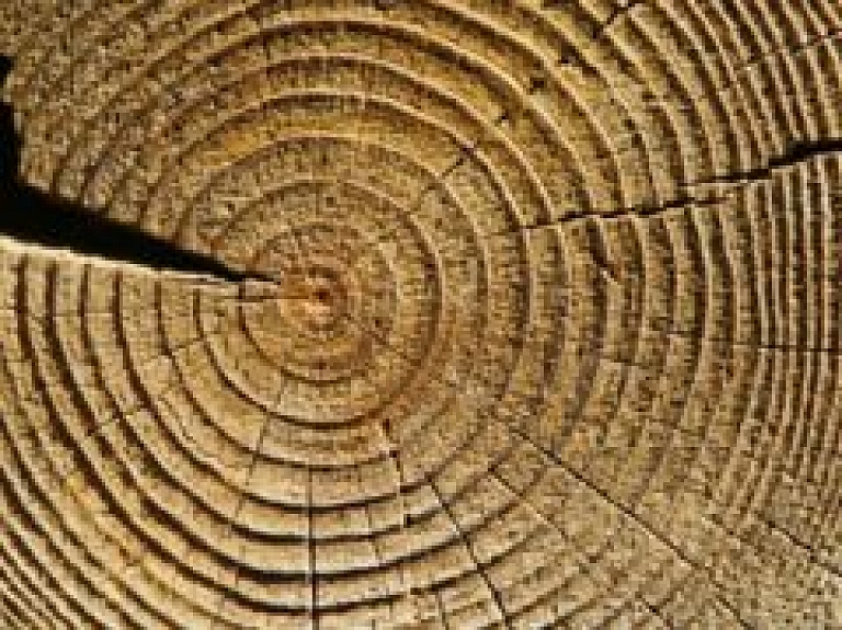 Jēkabpilī atklās ar biomasu darbināmu koģenerācijas elektrostaciju