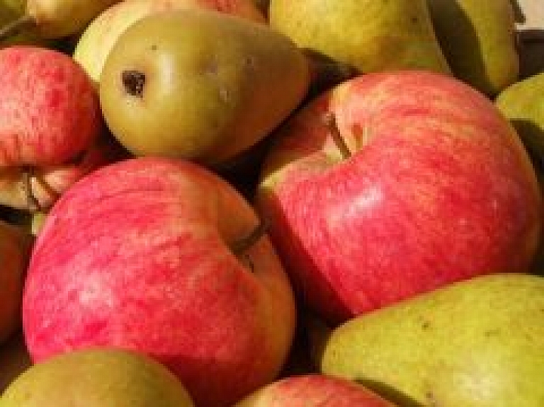 Svētdien Brīvdabas muzejā notiks Rudens ražas svētki