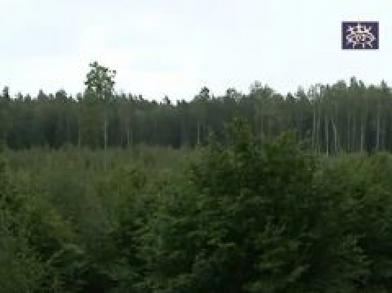 Talsu TV: pētnieki jūras piekrastē meklē senās kulta vietas (video)