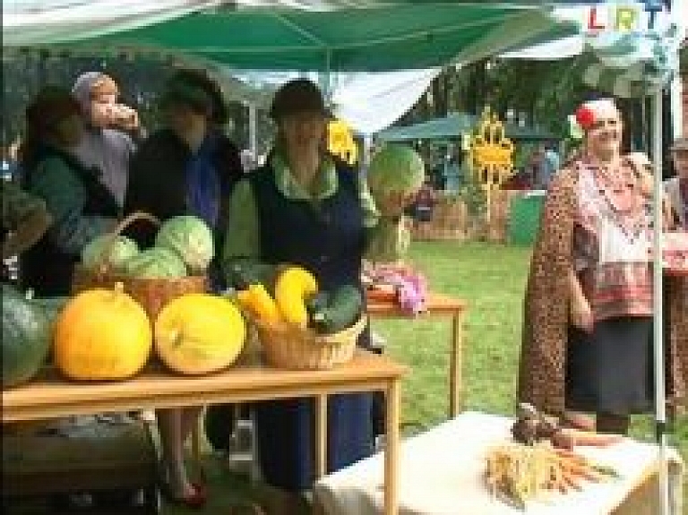Balvu novada pagastiem ir ar ko lepoties (video)