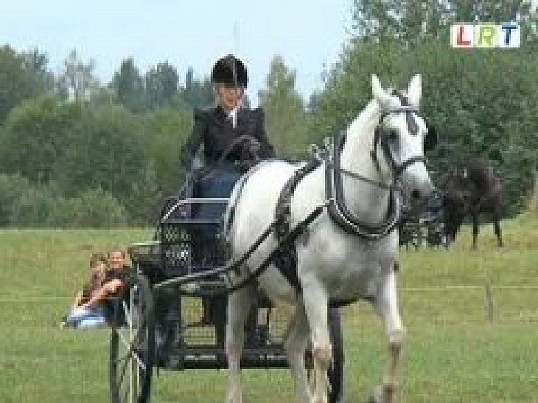 Tilžas pagastā aizvadītas pajūgu braukšanas sacensības (video)