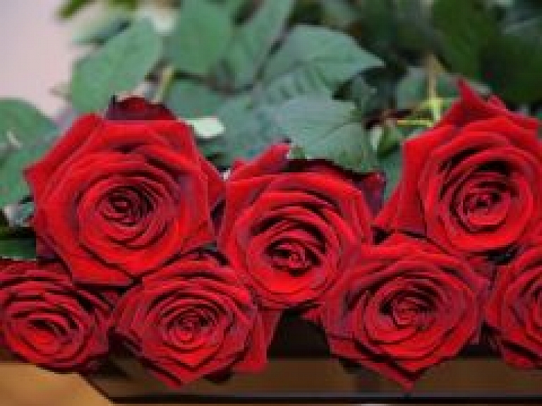 Dabas muzejā apskatāma rožu izstāde