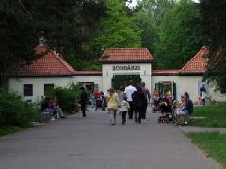 Bērnunama "Ilga" audzēkņi vāc naudu Rīgas zoodārza bruņrupuču jaunajai mājai
