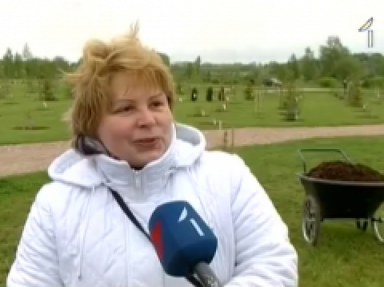 Likteņdārzā Černobiļas avārijas seku likvidētāji stāda kokus (video)