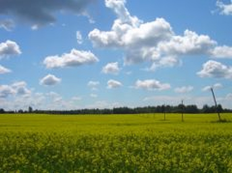 Agronome: sausuma dēļ uz augstām ražām šogad vairs nevaram cerēt