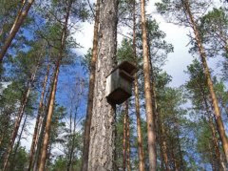 Sestdien Papes dabas parkā notiks pārgājiens