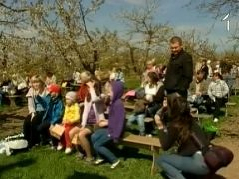 Dobelē aizvadīti ķiršu ziedēšanas svētki (video)