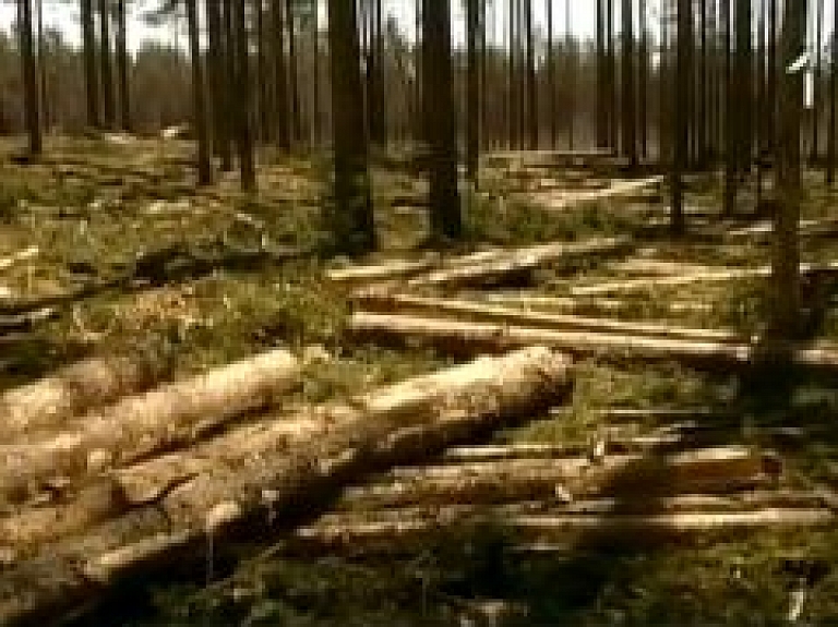 Latvijas mežos noteiks ugunsnedrošo periodu (video)
