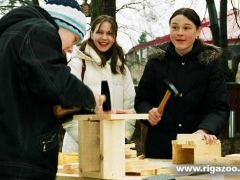 Nedēļas nogalē Rīgas Zooloģiskajā dārzā notiks Putnu dienu pasākumi