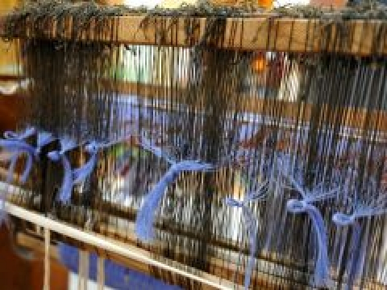 Nākamnedēļ Krimuldā atklās lietišķās mākslas festivālu