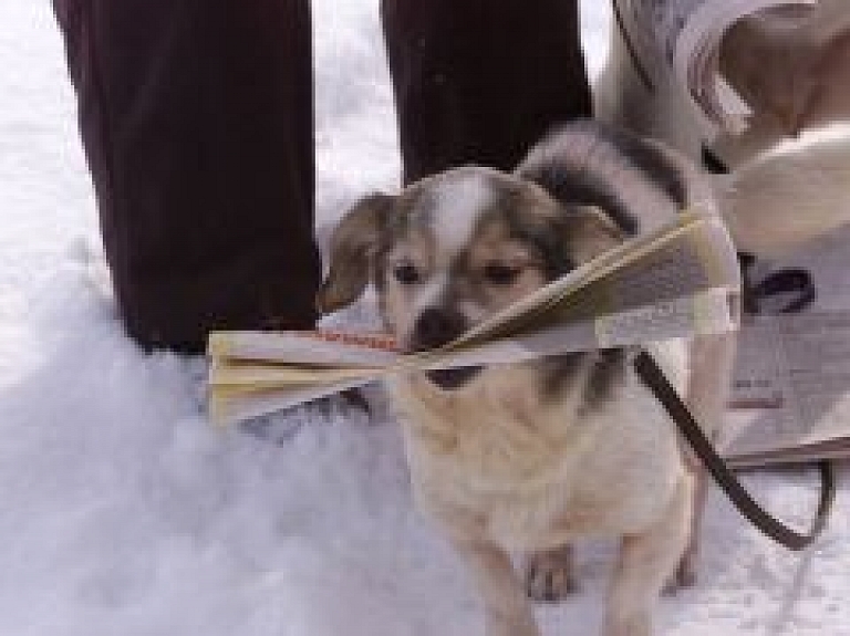 Piektdien Rīgas Zooloģiskajā dārzā atklās preses fotogrāfa Ojāra Lūša izstādi