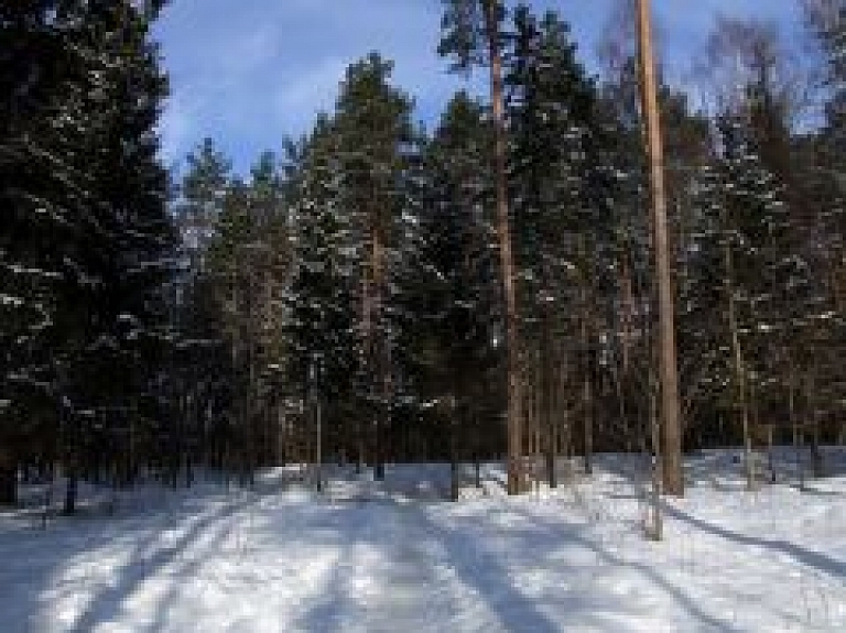 Šovakar Ķemeru apkaimē notiek pūču vērošanas ekskursija