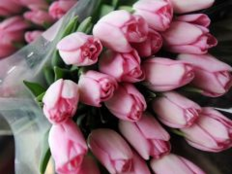 Šodien Preiļos notiek pilsētas dzimšanas dienai veltīti pasākumi