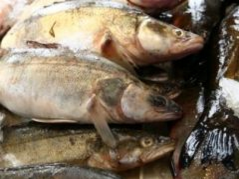 Jaunajā zvejas terminālī Ventspilī pieņemti darbā pirmie strādnieki