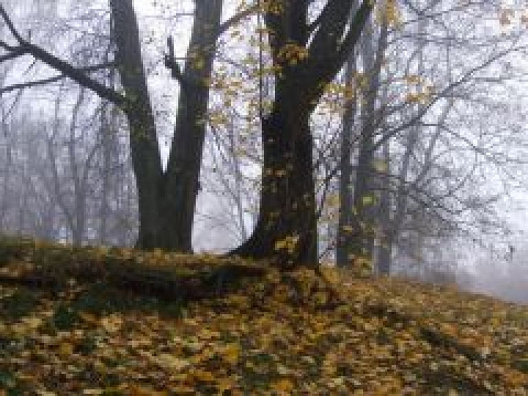 Šodien Brīvdabas muzejā notiks Mārtiņdienas svinības