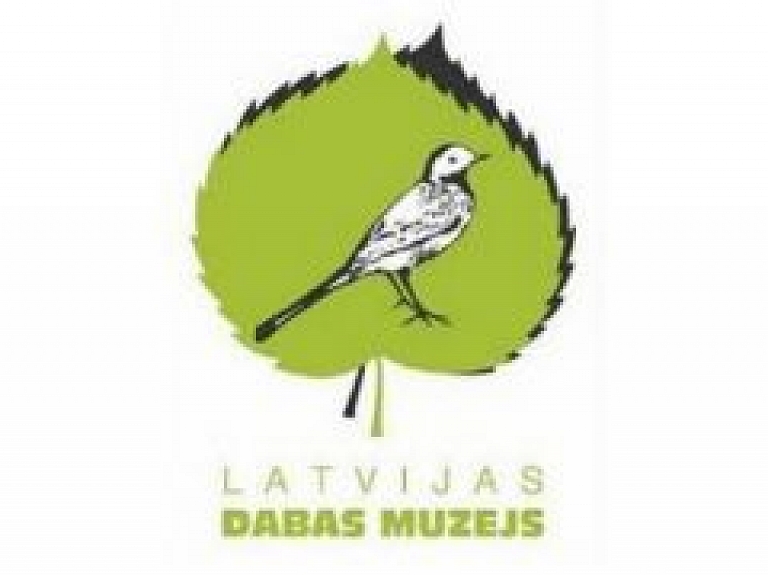 Dabas muzejā zīļu vākšanas akcijas laikā apmeklētāji atnesuši vairāk nekā 124 kilogramus ozolzīļu