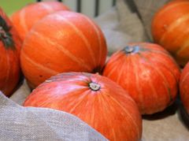 Piektdien Rīgas Zooloģiskajā dārzā norisināsies Latvijas lielākā ķirbja čempionāts