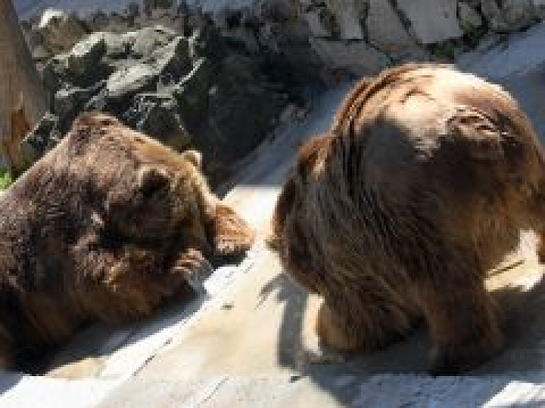 Nedēļas nogalē Rīgas Zooloģiskais dārzs atzīmēs 98.dzimšanas dienu