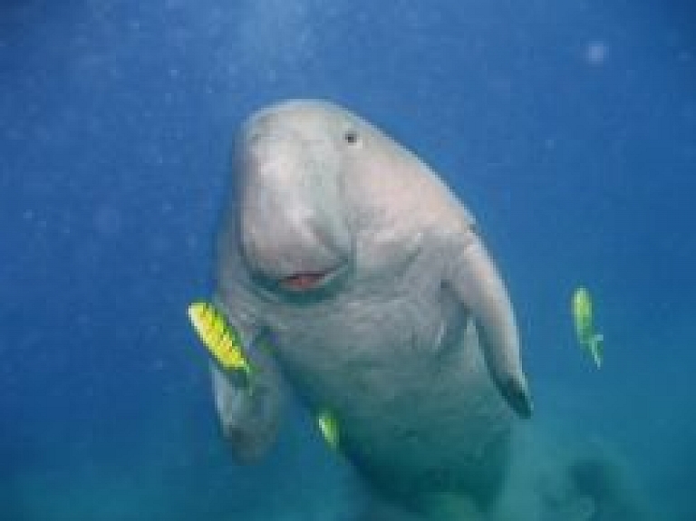 Piektdien ''Siguldas Tornī'' notiks fotomākslinieka Torleifa Halvorsena izstādes atklāšana