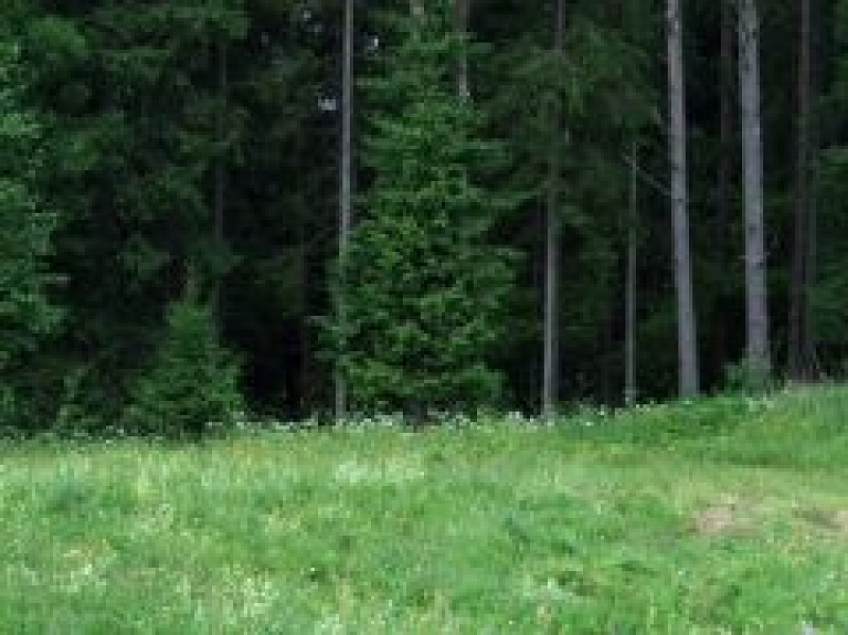 Krapes pagastā SM plāno iegādāties sešus zemes gabalus